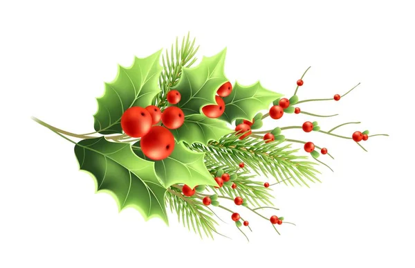 Різдвяні рослини гілки реалістичні Векторні ілюстрації — стоковий вектор