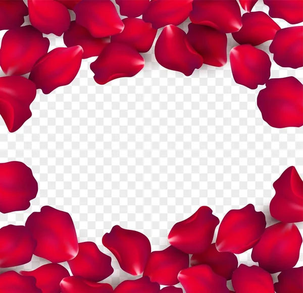 Pétalos de rosa roja cayendo aislados sobre fondo blanco. Ilustración vectorial — Vector de stock