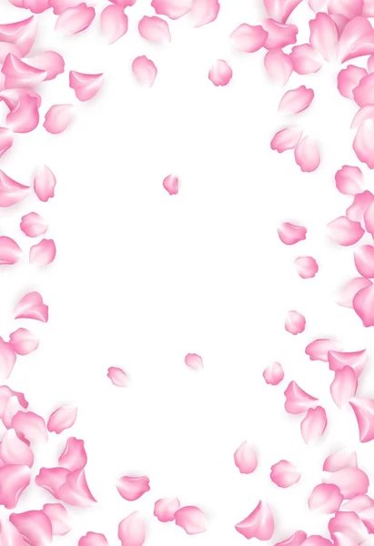 Pétalos de rosa roja cayendo aislados sobre fondo blanco. Ilustración vectorial — Vector de stock