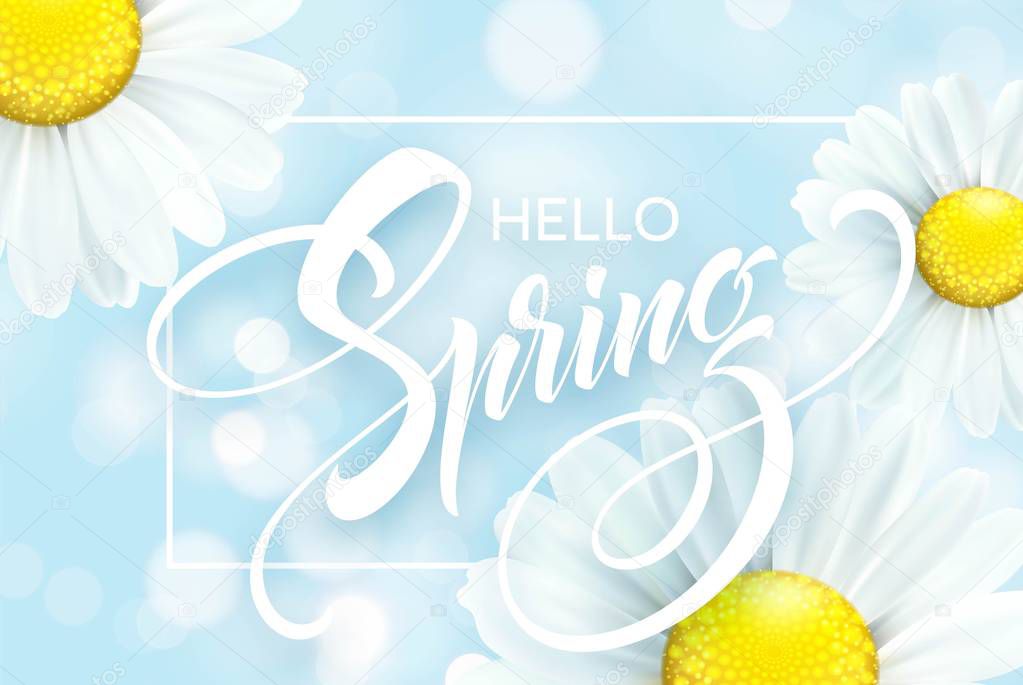 Daisy Flower Background and Hello Spring Lettering. Vector Illustration