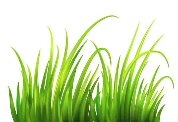 フラッシュ春緑の草の背景。ベクトル図 — ストックベクタ