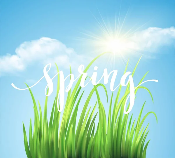 Frash Fondo de hierba verde primavera. Ilustración vectorial — Vector de stock