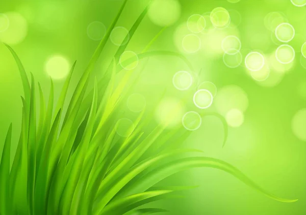 Frash Spring green grass background. Vector illustration — Stock Vector
