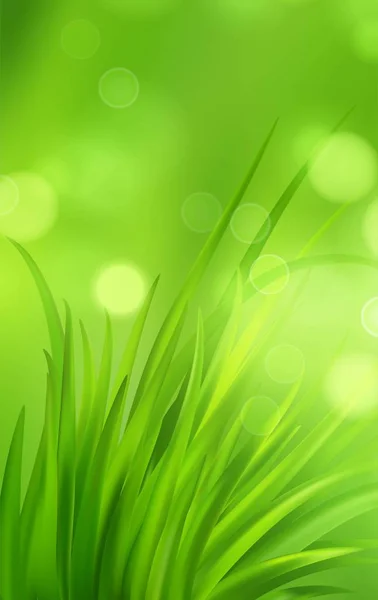 Frash wiosna zielony trawa tło. Ilustracja wektorowa — Wektor stockowy