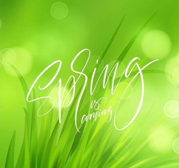 Весенний зеленый травяной фон с почерком. Векторная иллюстрация — стоковый вектор