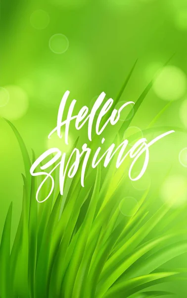 Frash Spring green grass background with handwriting lettering. Vector illustration — Stock Vector