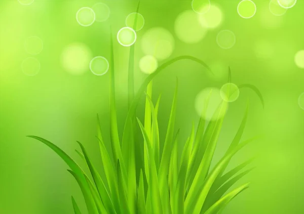 Frash Primavera fundo grama verde. Ilustração vetorial — Vetor de Stock