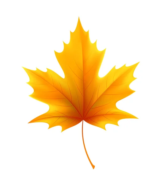 Hojas de arce amarillo otoño. Ilustración vectorial — Vector de stock