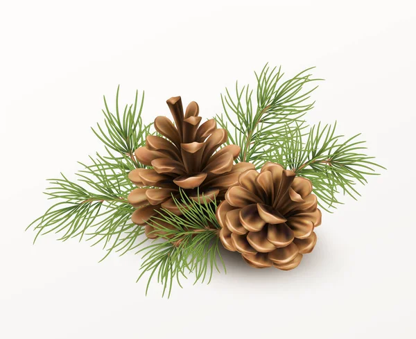 Pine cone with a branch of spruce needles isolated on a white background. Realistic vector illustration — Stock Vector