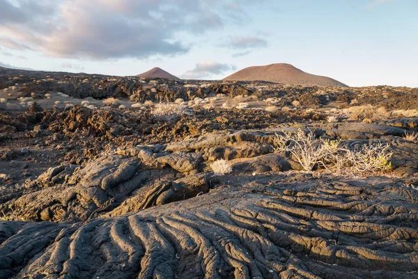 Sunset Lava Formation Landscape Bushes Restinga Hierro Canary Islands Spain — Stock Photo, Image