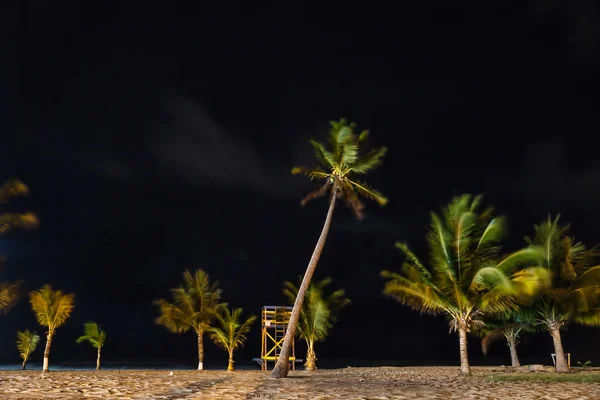 Ruchome Palmami Ratownik Stoisko Wiatrem Plaży Placencia Belize — Zdjęcie stockowe