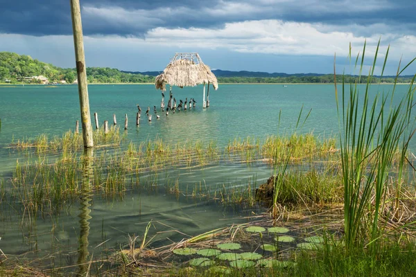 Doca Abandonada Longo Costa Lago Com Pássaros Sentados Paus Remate — Fotografia de Stock