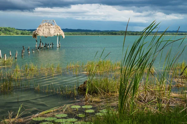 Grama Searoses Doca Longo Costa Lago Com Pássaros Sentados Paus — Fotografia de Stock