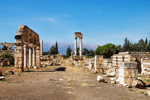 ウマイヤ市列遺跡 Anjar レバノンのベカー渓谷 — ストック写真