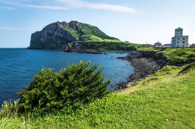 Ilchulbong arka plan, Seongsan, Jeju Adası, Güney Kore'de Grassfields ve bush manzaralı okyanus ve yanardağ krater