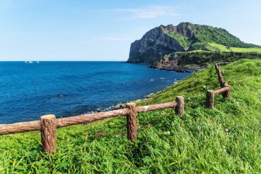 Ilchulbong arka plan, Seongsan, Jeju Adası, Güney Kore'de Grassfields çit önde gelen volkan ve okyanus boyunca ile krater