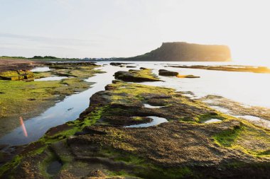 Ilchulbong yanardağ krater üzerinde yeşil yosun taş, Seongsan, Jeju Adası, Güney Kore ve okyanus manzaralı güneş doğarken üçgen taş