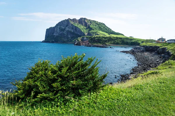 Ilchulbong arka plan, Seongsan, Jeju Adası, Güney Kore'de Grassfields manzaralı okyanus ve yanardağ krater
