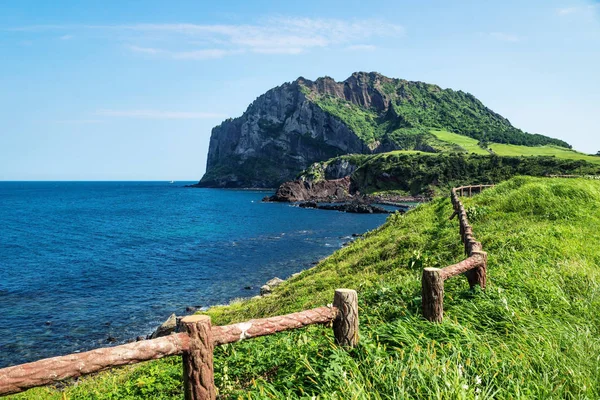 Grassfields ve fencewith görünümü üzerinde okyanus ve yanardağ krater Ilchulbong içinde arka plan, Seongsan, Jeju Adası, Güney Kore