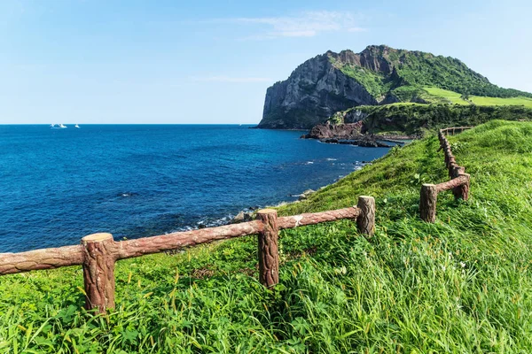 Ilchulbong arka plan, Seongsan, Jeju Adası, Güney Kore'de Grassfields çit önde gelen volkan ve okyanus boyunca ile krater