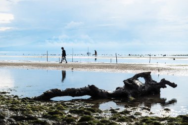 Sandugan, Siquijor, Filipinler - 12 Mayıs 2013: su yansımaları ile okyanus kıyısında deniz ürünleri arayan iki kişi