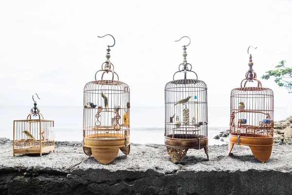 Four bird cages with singing birds on a stone wall for a meeting as a mans hobby in Sanur, Bali, Indonesia