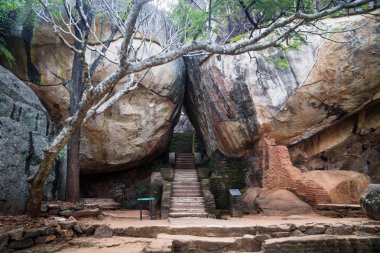 Merdiven arasında biraz büyük portakal taş ağaç Sigiriya, Sri Lanka
