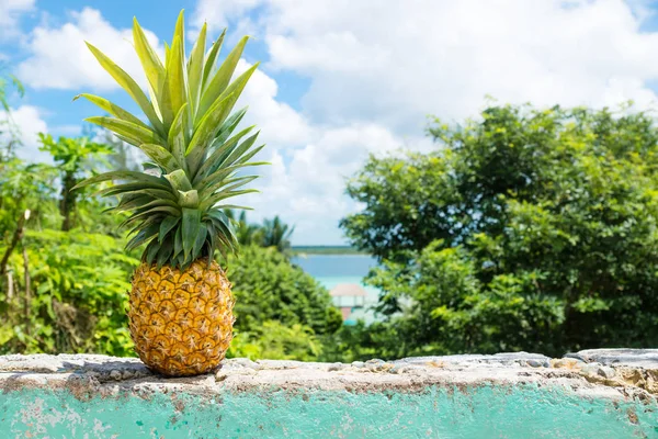 Ananas Bacalar göl ve dock, Bacalar, Meksika için manzaralı bir duvara