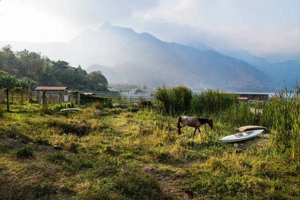 Cavalo e uma canoa em um prado ao longo do Lago Atitlan com cordilheira, San Juan la Laguna, Guatemala, América Central — Fotografia de Stock
