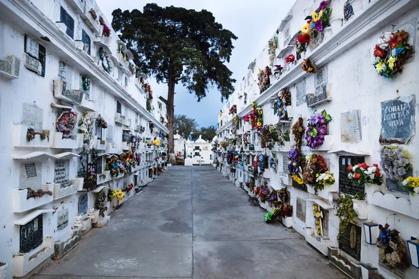 산 라자로 묘지, 안티구아, 과테말라에서 끝에 나무와 무덤의 벽 — 스톡 사진