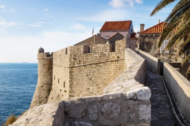 Patika boyunca Dubrovnik kale uyanık ve palmiye ağacı, Hırvatistan ile güneşli havalarda