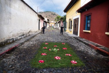 Çim Alfombre çiçek halı Antigua, Guatemala Arnavut kaldırımlı sokaklarında
