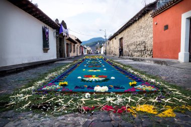 Antigua, Guatemala Arnavut kaldırımlı sokaklarında Alfombre çiçek halı için düşük açılı görünüş
