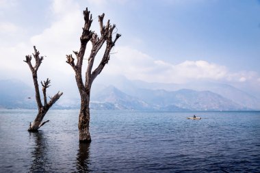 Lake atitlan tekne ve dağ, San Pedro, Guatemala ile ölü ağaç