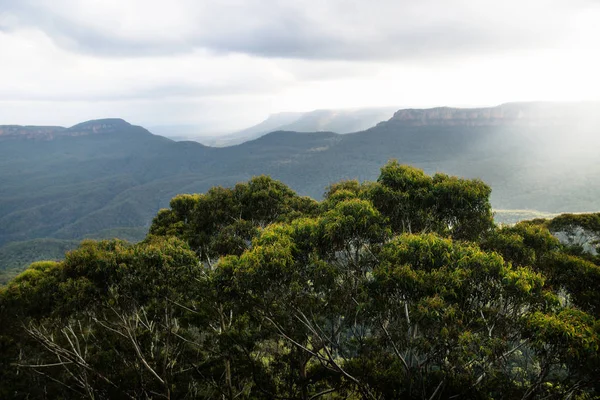 Canhões de montanhas azuis com raios de sol atrás de arbustos verdes, Katoomba, Nova Gales do Sul, Austrália — Fotografia de Stock