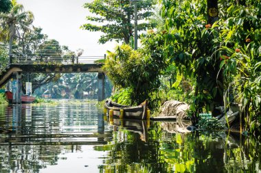 Palmiye ağaçları, Alappuzha, Alleppey, Hindistan 'daki yemyeşil ormandaki küçük nehir kanalı.