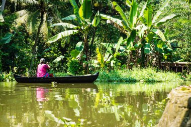Yaşlı bir kadın Kerala 'nın durgun sularında Alleppey, Alappuzha, Hindistan' da küçük bir teknede kürek çekiyor.