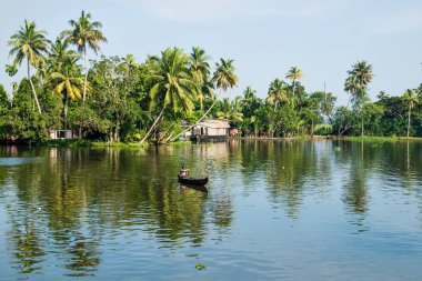 Kerala durgun sularında nehri geçen küçük bir teknedeki yerli Hintli adam tropikal orman, Alappuzha, Alleppey, Hindistan