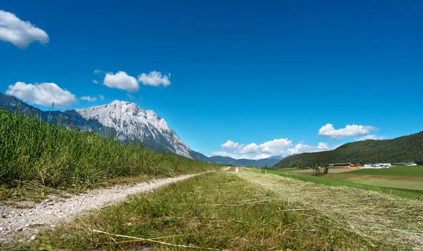 Vägen Genom Jordbruksängar Österrikiska Alperna Solig Dag Med Blå Himmel — Stockfoto