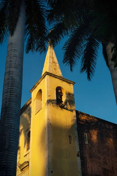 Tower of Santa Ana church framed by palm trees during sunset light, and cloudless blue sky Merida, Yucatan, Mexico