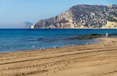 Calpe, Costa Blanca, İspanya 'daki kayalık kayalıklara bakan martıları olan kumsal.