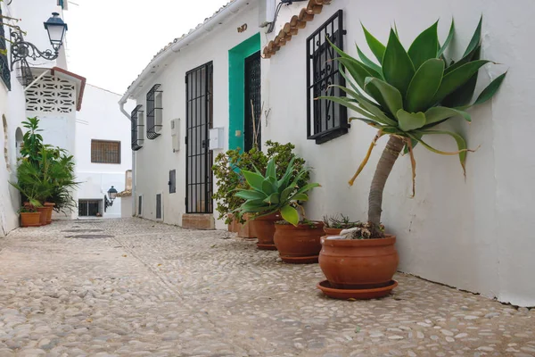 Callejón Con Macetas Largo Las Casas Blancas Lavadas Casco Antiguo — Foto de Stock