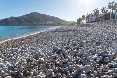 Stone beach of Albir with view on the promenade aligned with palm trees and mountain, Costa Blanca, Spain clipart