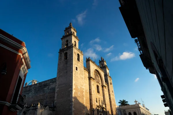 Merida San Ildefonso Katedrali Gün Batımında Koloni Binalarıyla Çevrili Merida — Stok fotoğraf