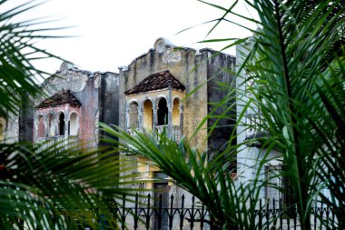 Bulanık tropik palmiye ağaçları arkasında balkonları olan renkli terk edilmiş koloni evleri, Merida, Yucatan, Meksika