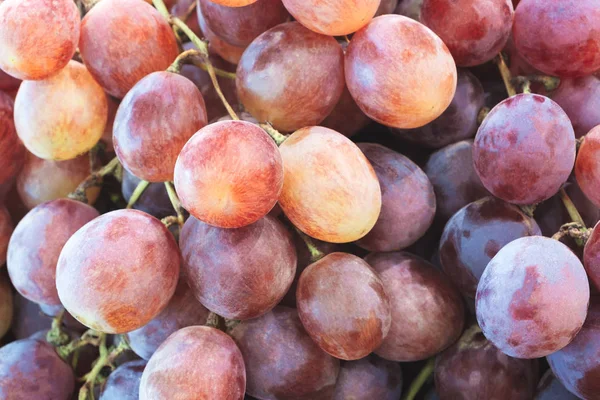 Healthy fruits Red wine grapes background/ dark grapes/ blue grapes/wine grapes,Red wine grapes background/dark grapes,blue grapes,Red Grape in a supermarket local market bunch of grapes ready to eat