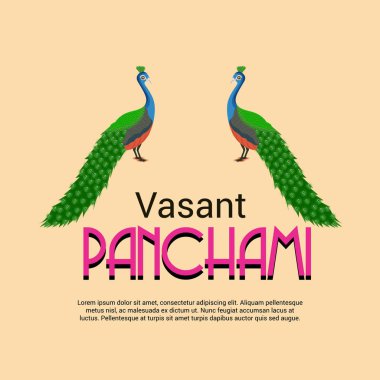 Bir arka plan/Banner vektör çizim Vasant Panchami için.