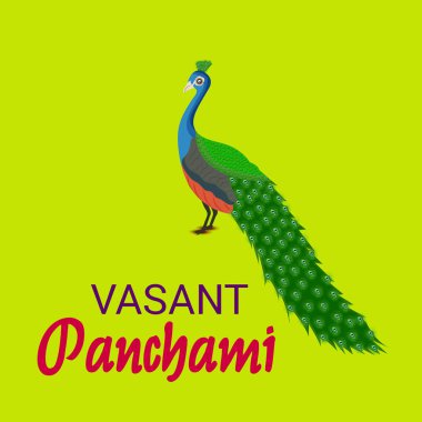 Bir arka plan/Banner vektör çizim Vasant Panchami için.