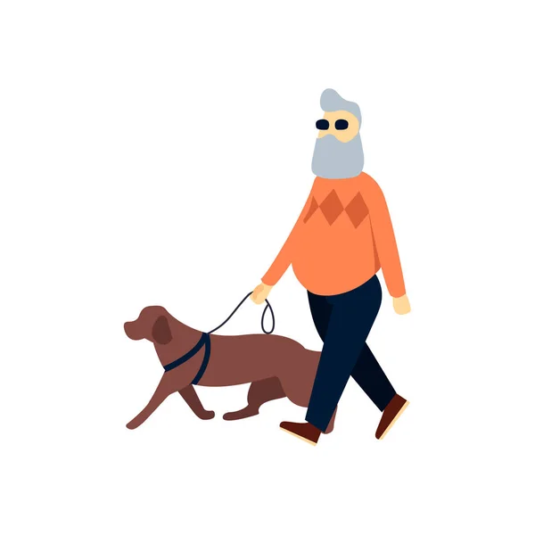 Blind senior with guide dog. Old man impaired vision. Elderly person with blindness on walk.