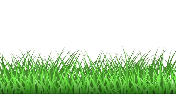 Erba verde. Primavera eco sfondo. Grass border vector clipart. — Vettoriale Stock
